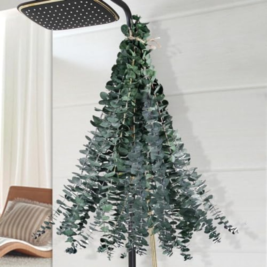 Eucalyptus Preserved - Dried Eucalyptus for Shower Hanging -