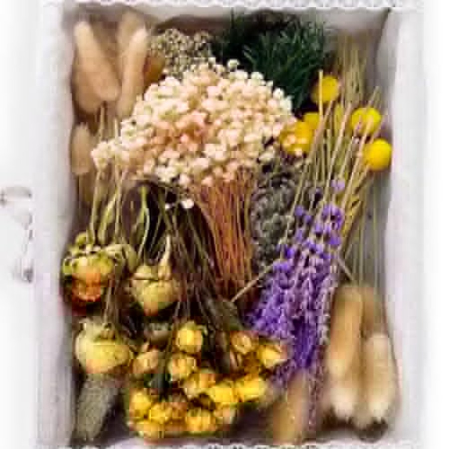 Eucalyptus Preserved - 130Pcs DIY Mixed Natural Dried Flower