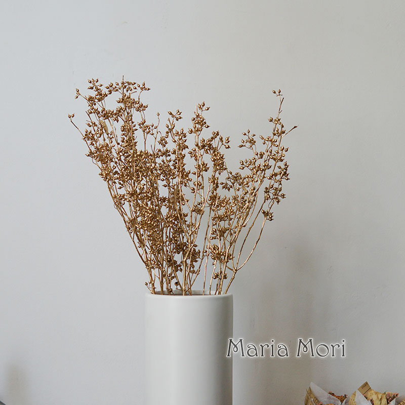 Eucalyptus Preserved - 80g/Eucalypt Small Fruit Natural Dried Flowers