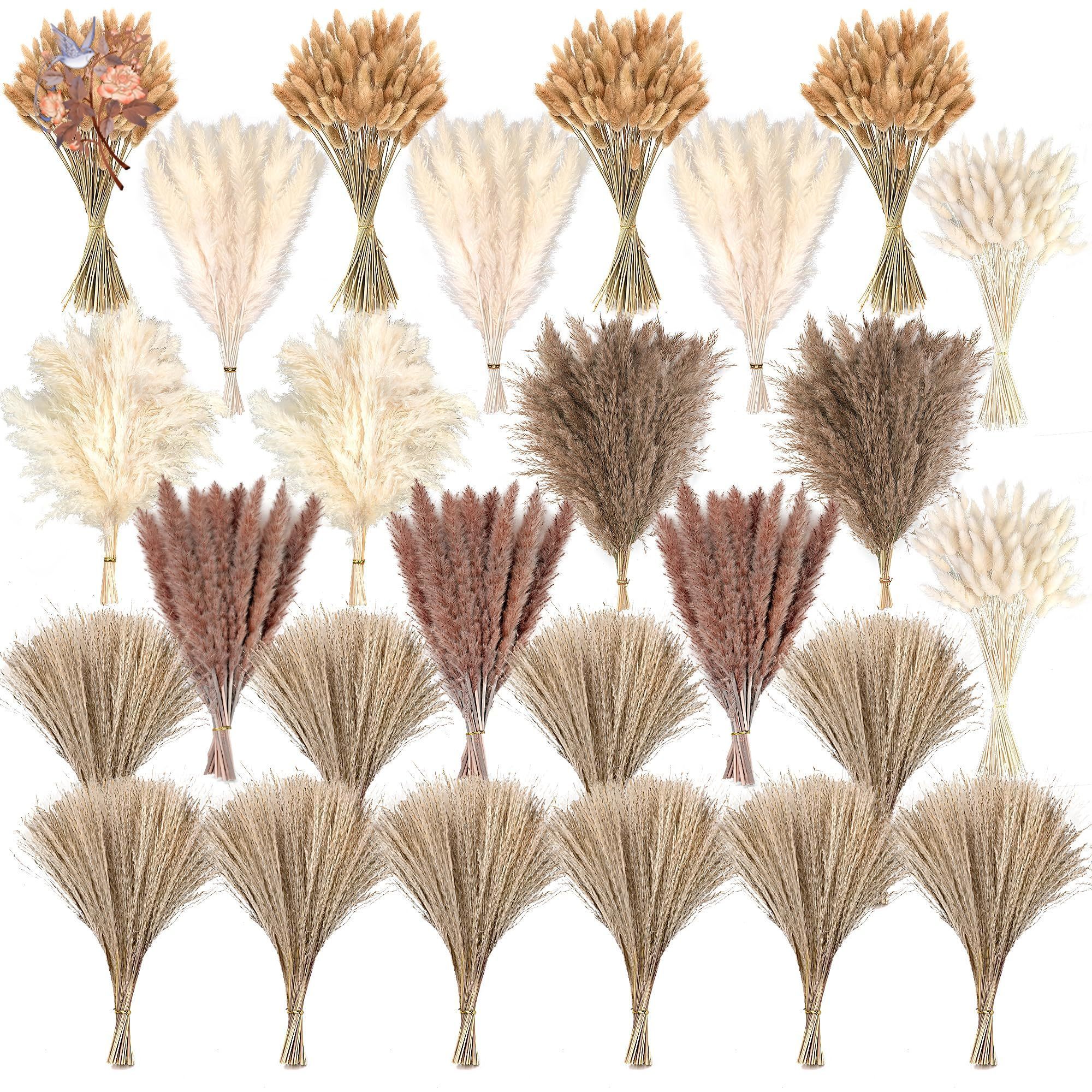 Eucalyptus Preserved - 300Pcs Natural Large Pampas Grass Dried