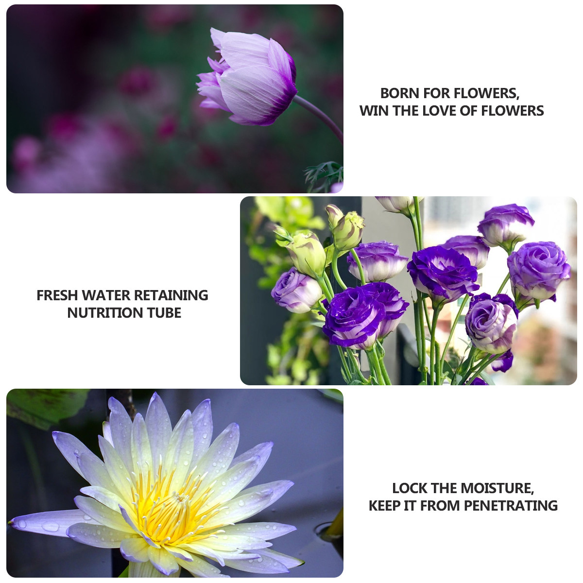 50Pcs Premium Plastic Flower N - Longs Florist Supply recensie en prijs