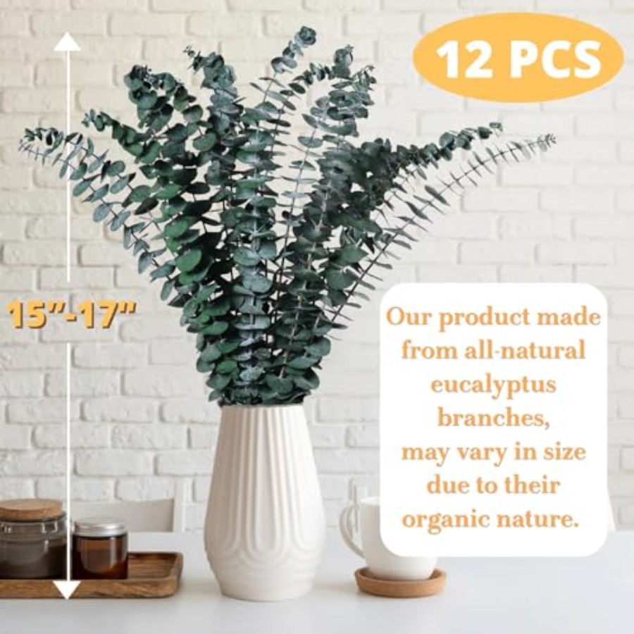 Dried Eucalyptus for Shower Ha - Eucalyptus Preserved recensie en prijs