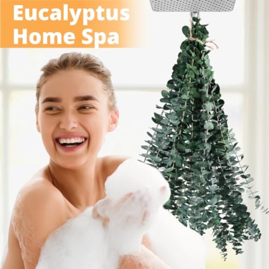Dried Eucalyptus for Shower Ha - Eucalyptus Preserved recensie en prijs