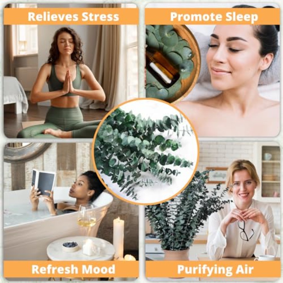 Dried Eucalyptus for Shower Ha - Eucalyptus Preserved recensie en prijs