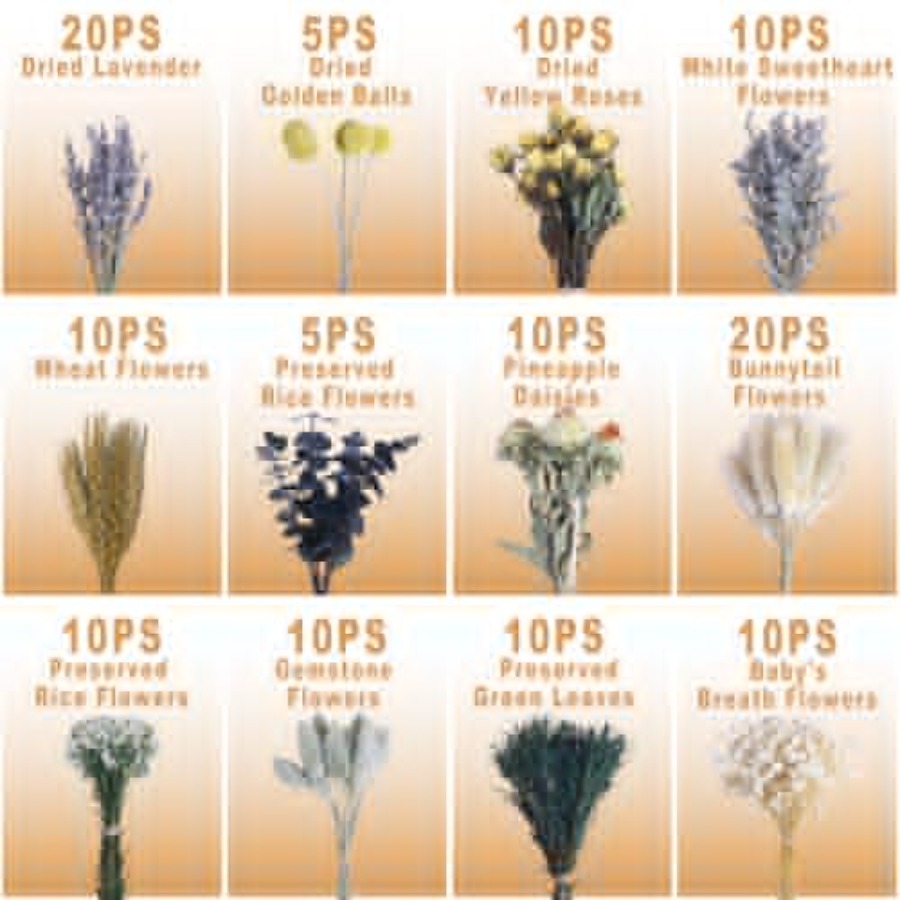130Pcs DIY Mixed Natural Dried - Eucalyptus Preserved recensie en prijs