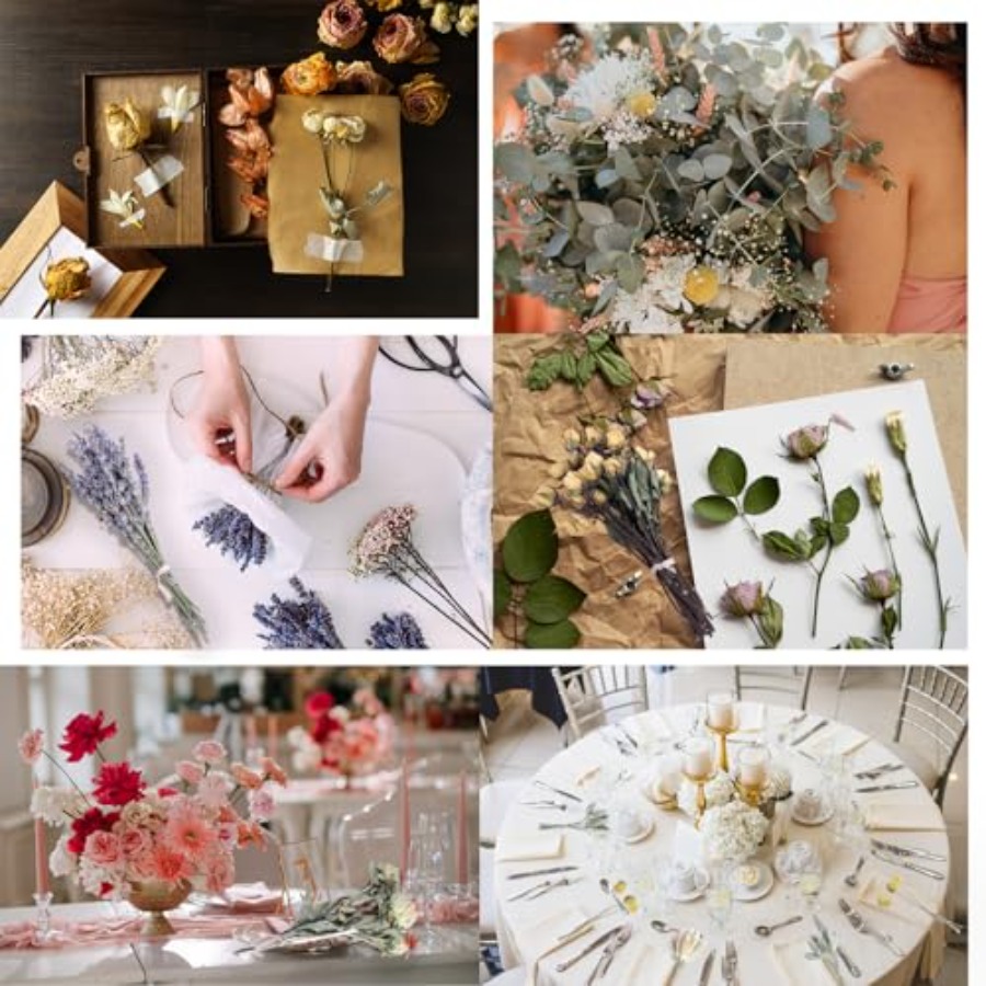 130Pcs DIY Mixed Natural Dried - Eucalyptus Preserved recensie en prijs