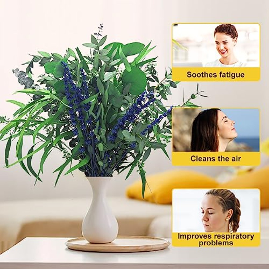 5 Kinds Mix Dried Eucalyptus a - Eucalyptus Preserved recensie en prijs