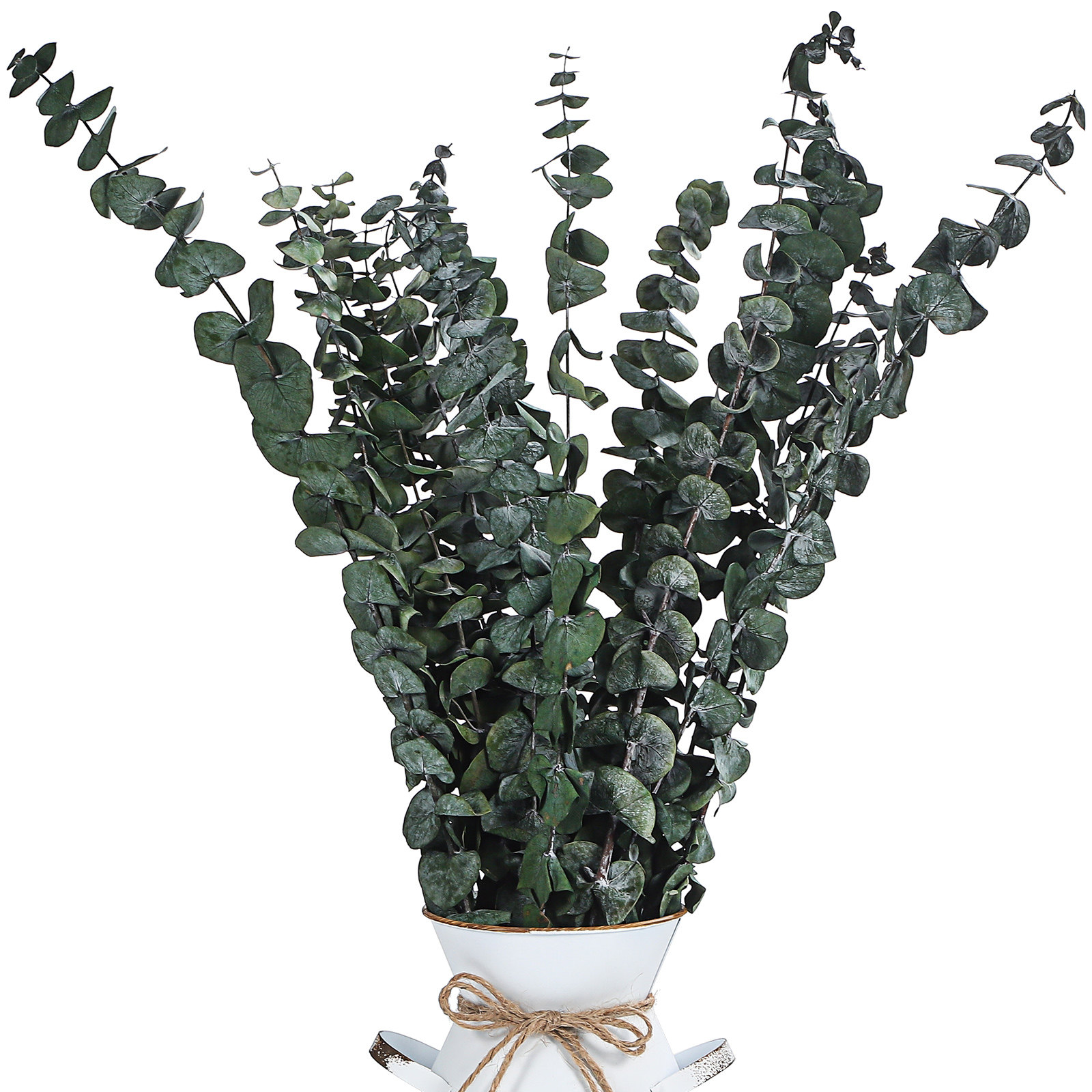 20 pcs Eucalyptus Leaves Dried - Eucalyptus Preserved recensie en prijs