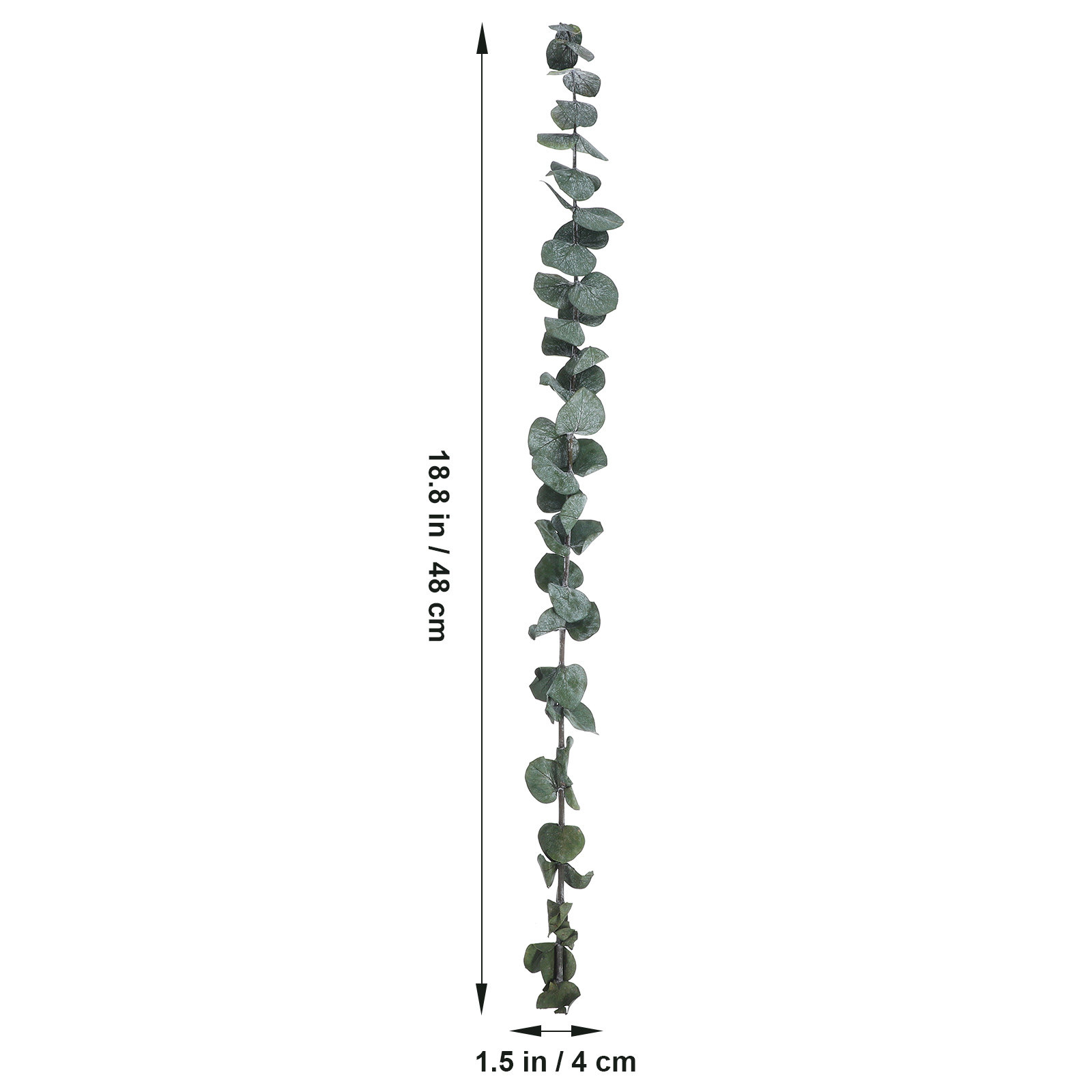 20 pcs Eucalyptus Leaves Dried - Eucalyptus Preserved recensie en prijs