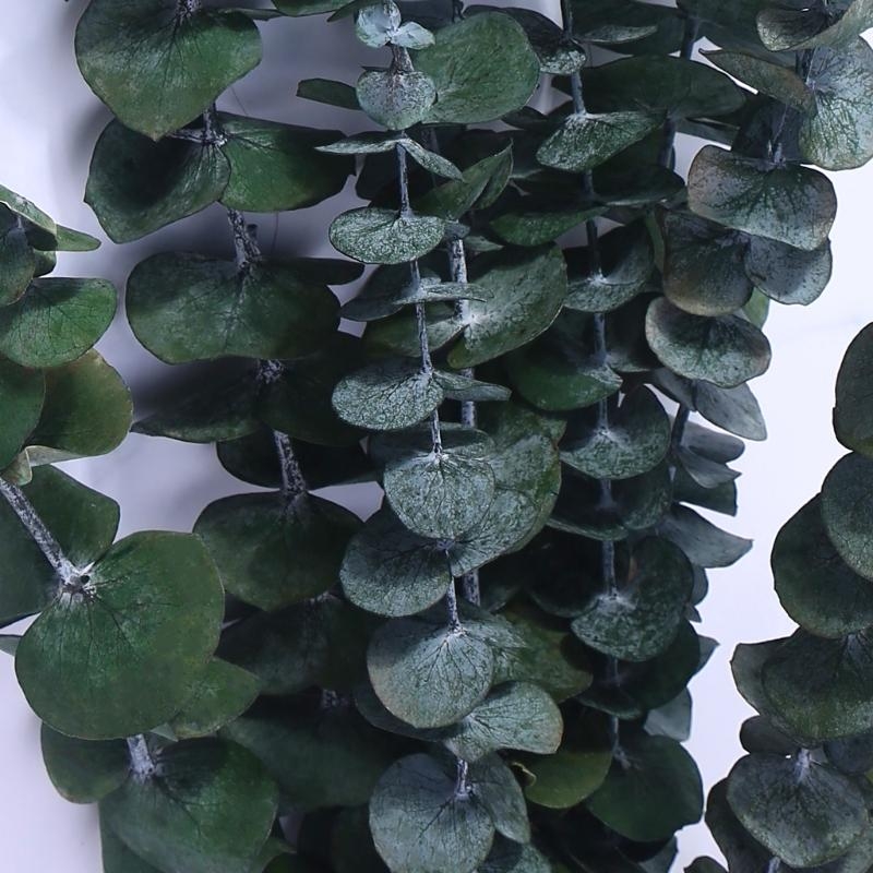 20Pcs Preserved for Fresh Euca - Eucalyptus Preserved recensie en prijs