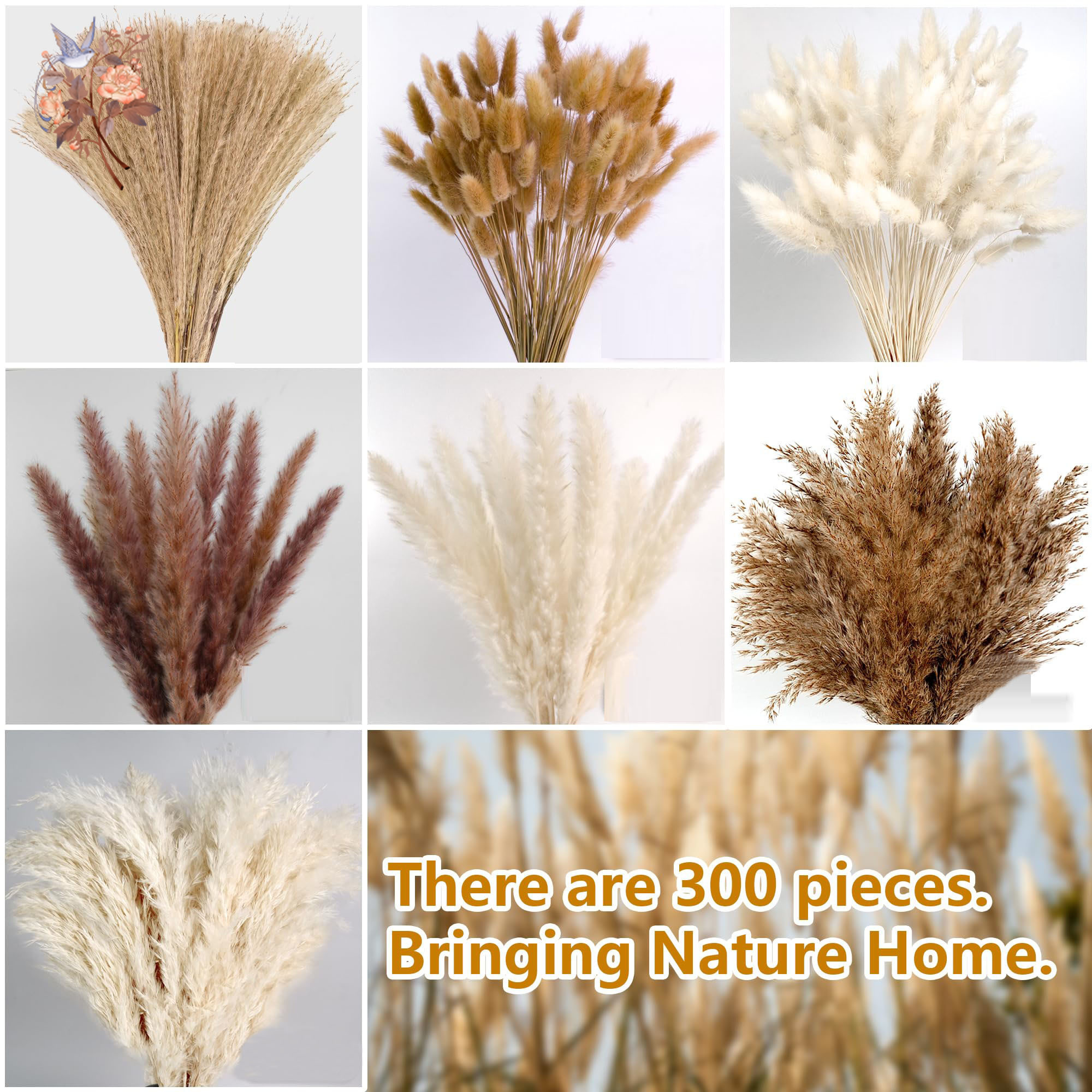 300Pcs Natural Large Pampas Gr - Eucalyptus Preserved recensie en prijs