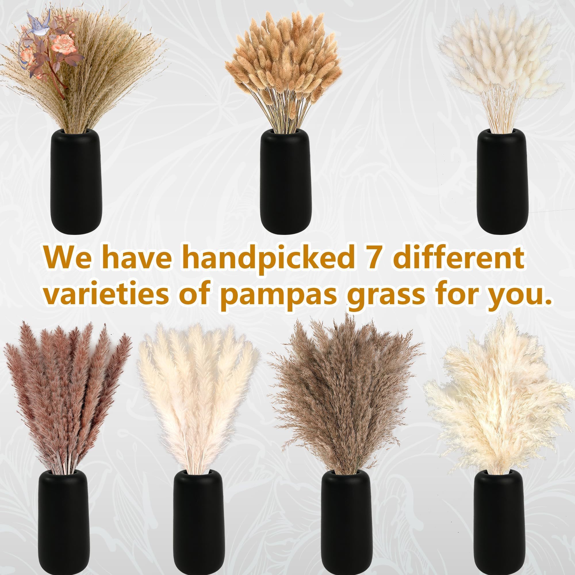 300Pcs Natural Large Pampas Gr - Eucalyptus Preserved recensie en prijs