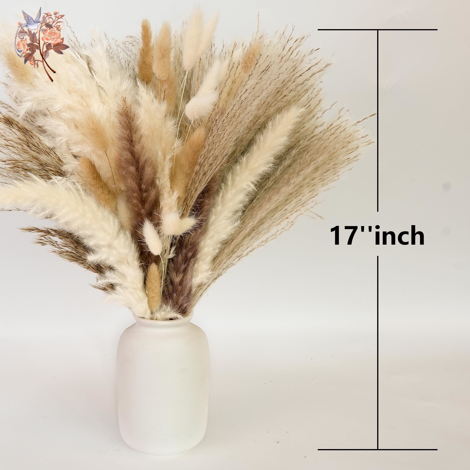 300Pcs Natural Large Pampas Gr - Eucalyptus Preserved recensie en prijs