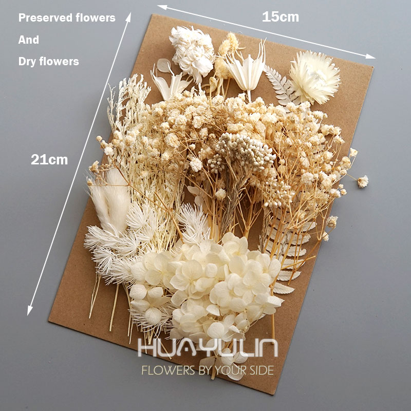 1 Pack Artificial Plants Dried - Eucalyptus Preserved recensie en prijs